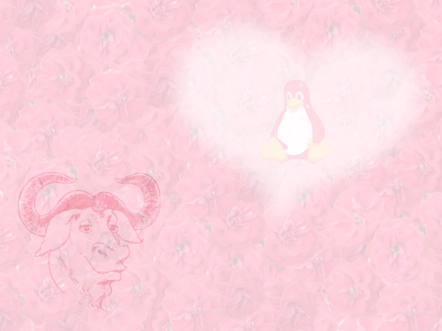 Fun wallpaper 83